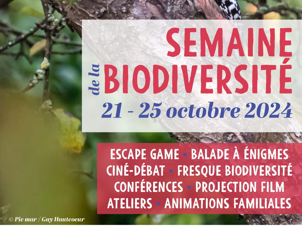 FRESQUE DE LA BIODIVERSITÉ - SEMAINE DE LA BIODIVERSITÉ