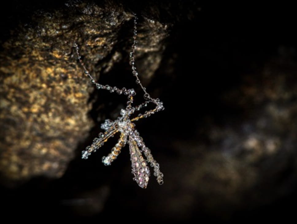 EXPOSITION DE PHOTOGRAPHIES : « DU MONDE SOUTERRAIN AU FIRMAMENT » DE THIERRY VINCENT