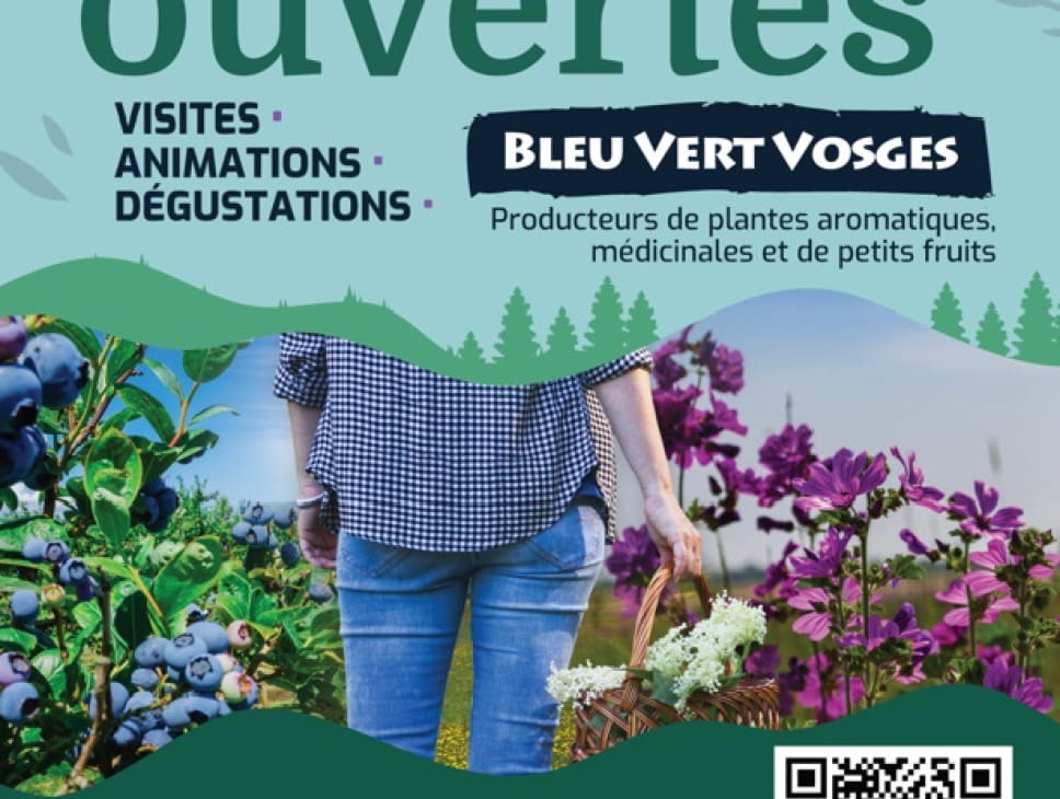 FERMES OUVERTES BLEU VERT VOSGES