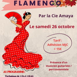 STAGE DE FLAMENCO