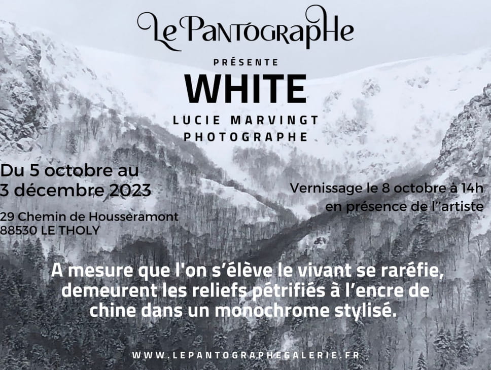 EXPOSITION 'WHITE' DE LUCIE MARVINGT