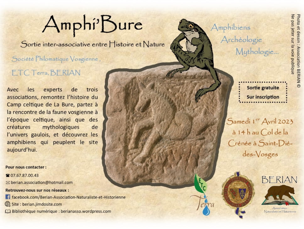 SORTIE HISTOIRE ET NATURE : AMPHI'BURE