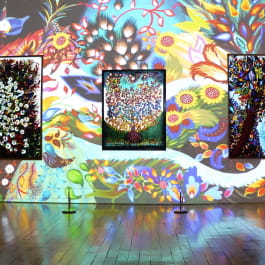 VIDEO-MAPPING 'MORPHOSE'