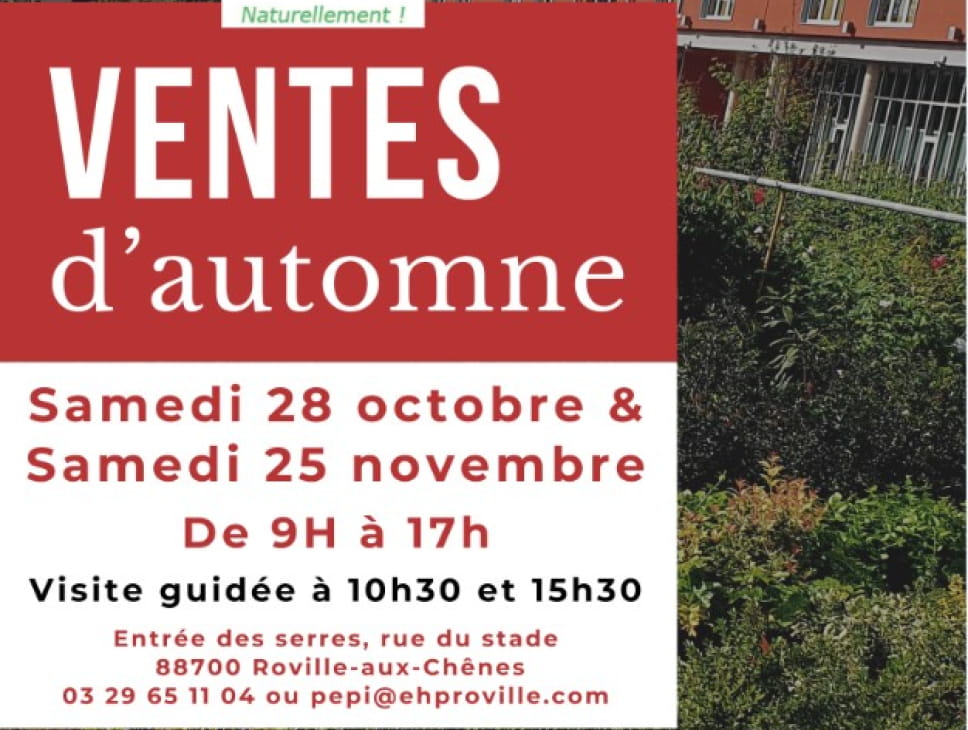 VENTES D'AUTOMNE