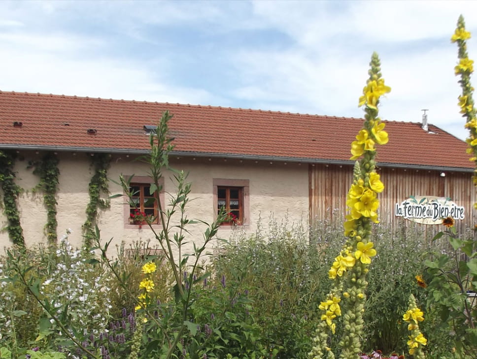 PORTES OUVERTES - FERME DU BIEN-ÊTRE