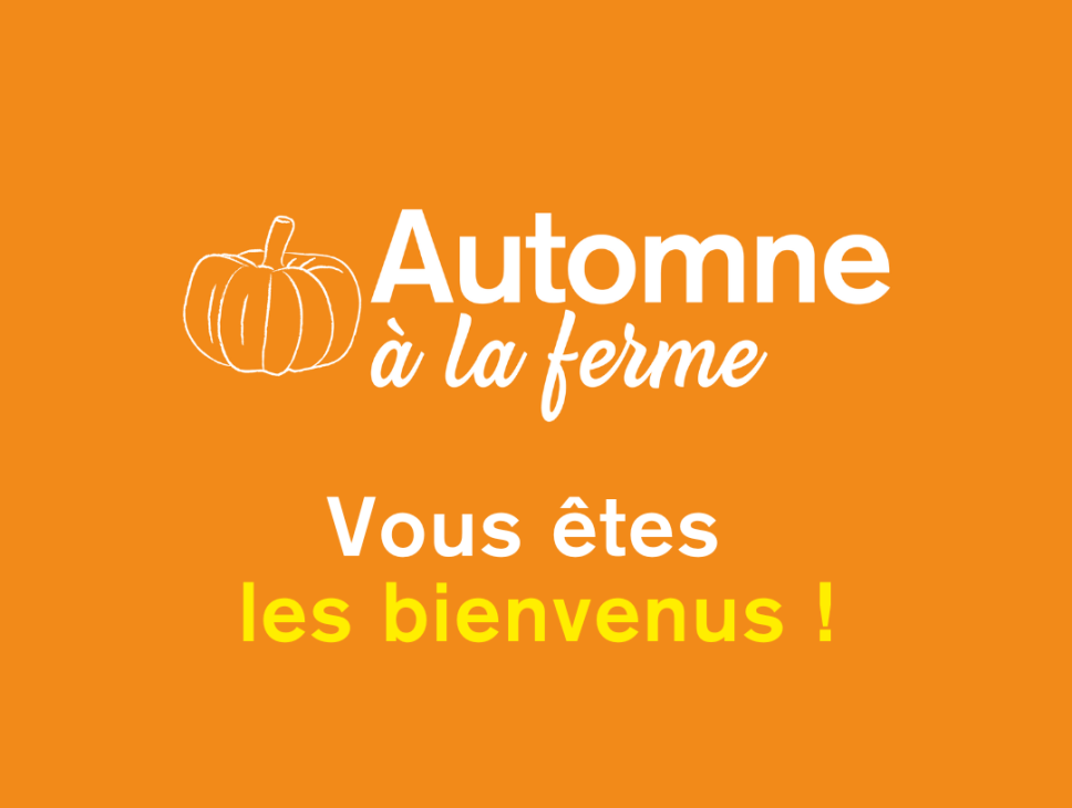 AUTOMNE À LA FERME : VISITE DÉCOUVERTE DE L'APICULTURE !