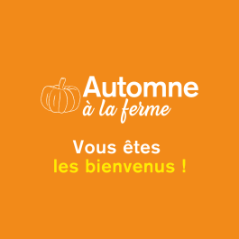 AUTOMNE À LA FERME : UNE FERME, UNE RANDO À LA MEXEL