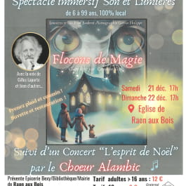 SPECTACLE SON ET LUMIÈRES