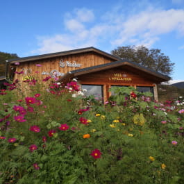 AUTOMNE À LA FERME : VISITE DÉCOUVERTE DE L'APICULTURE !