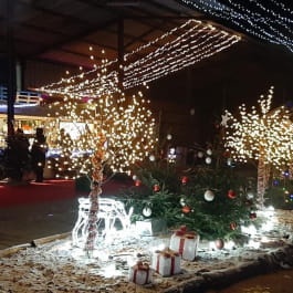 MARCHÉ DE NOËL MAISON MOINE